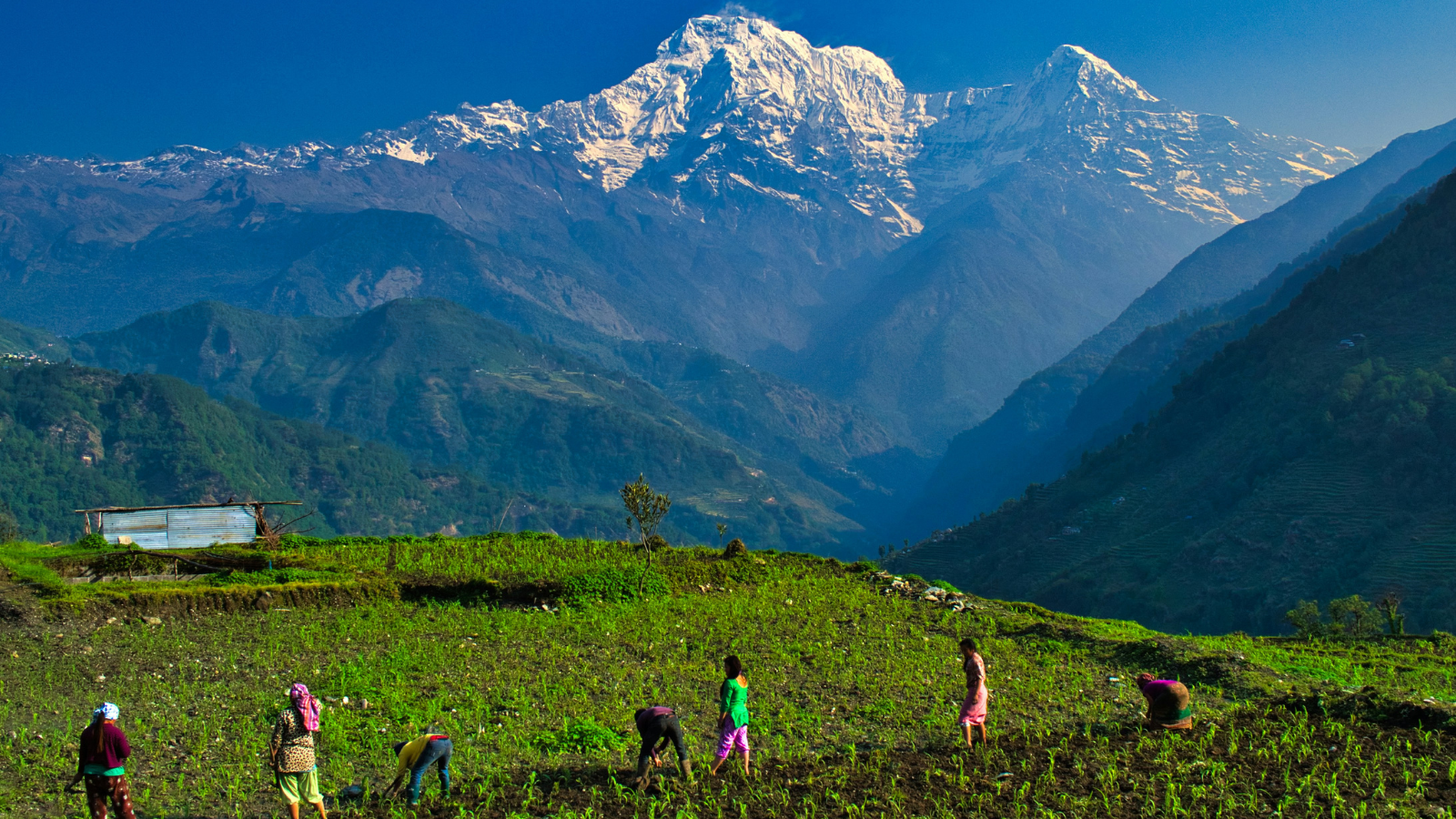 Is Nepal Safe for Female Travellers? 2026 Complete Guide